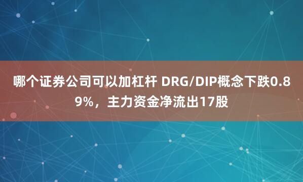 哪个证券公司可以加杠杆 DRG/DIP概念下跌0.89%，主力资金净流出17股