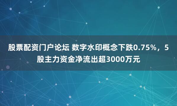 股票配资门户论坛 数字水印概念下跌0.75%，5股主力资金净流出超3000万元